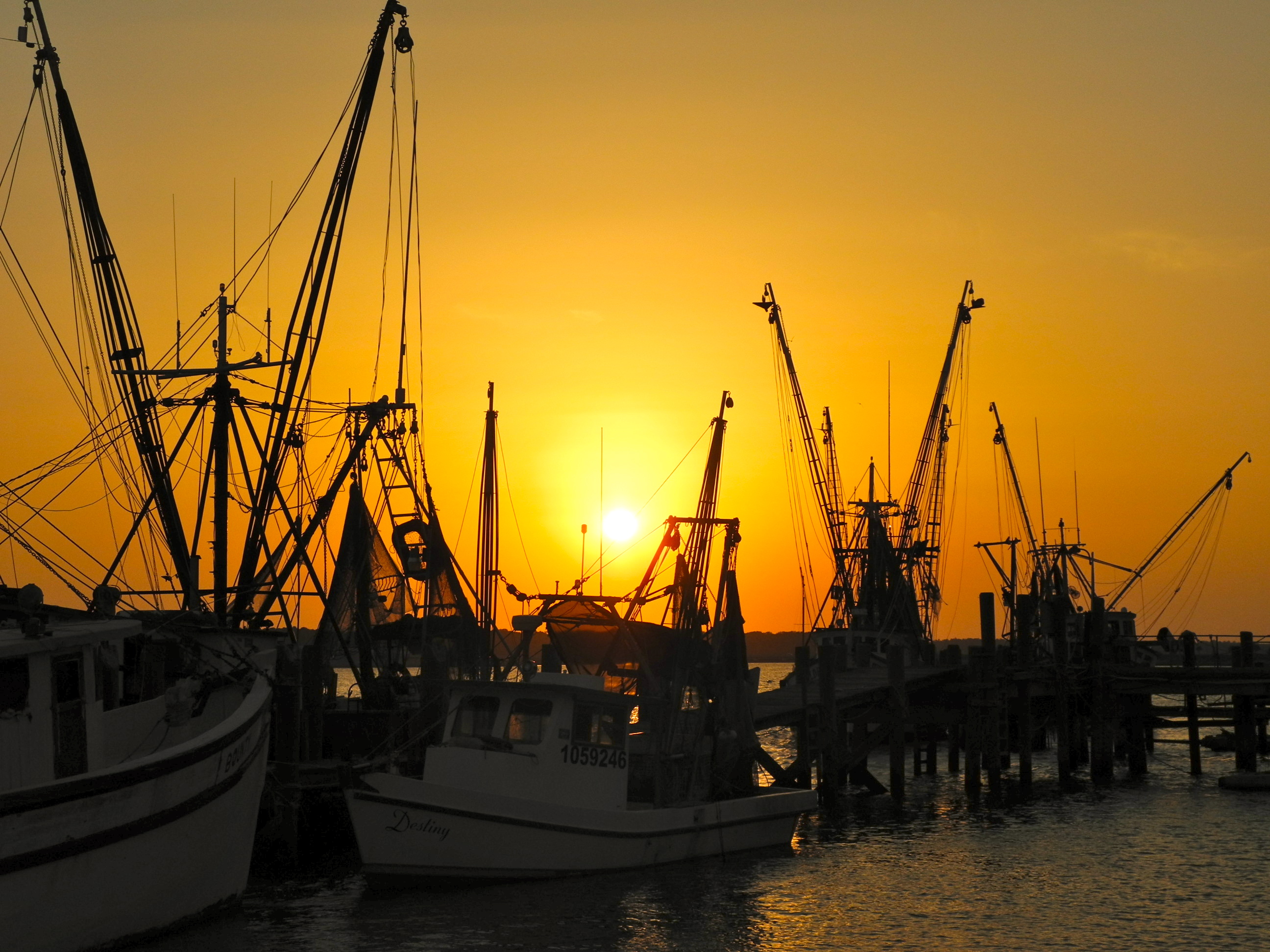 Day Trips in South Carolina Lowcountry SC Day Trips